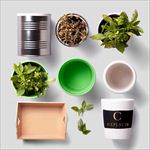 绿植系列