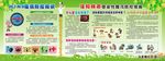H7N9禽流感防控 诺如病毒性