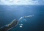 大海