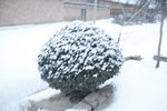 雪