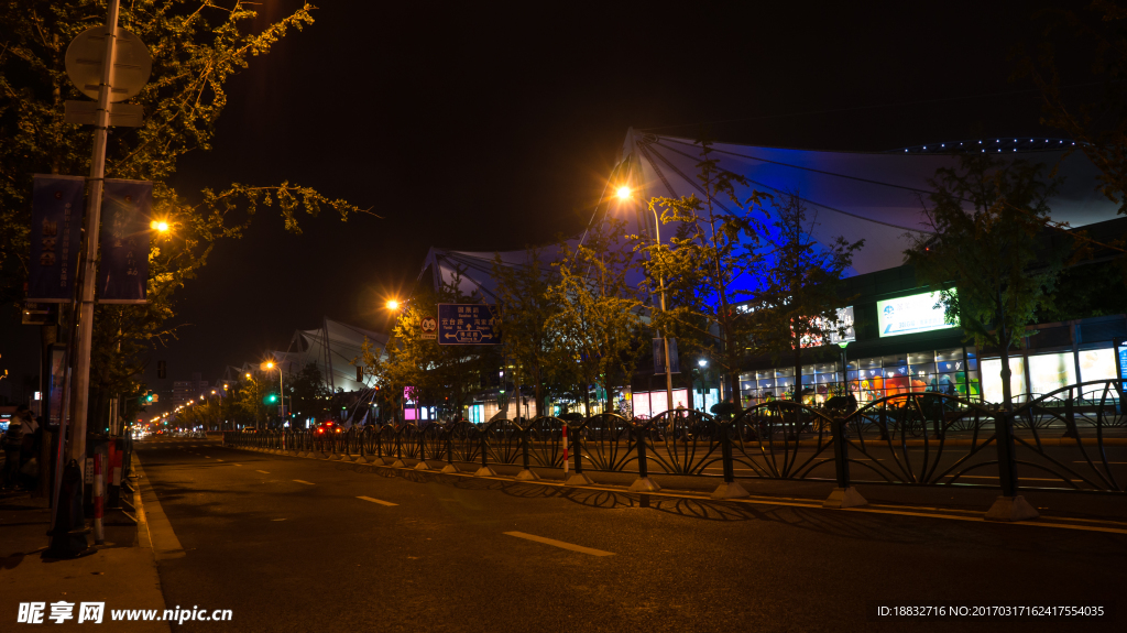 世博园世博大道路口夜景