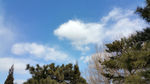 初春 蓝天 白云