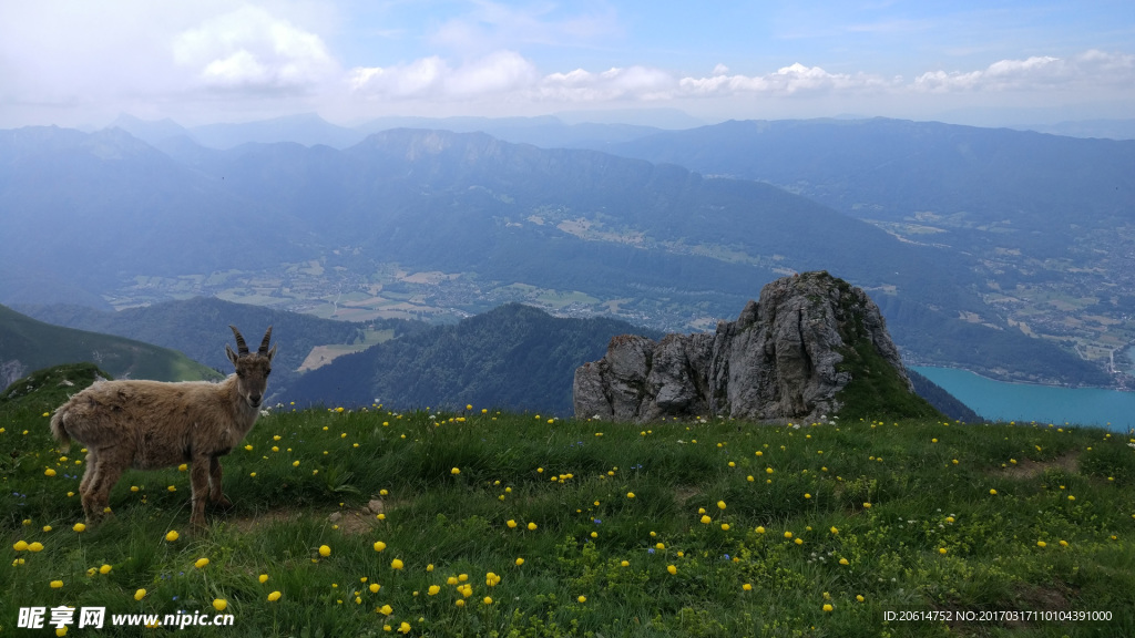 高山风景