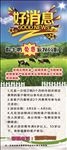 山花牛奶展架