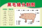 猪肉分割图