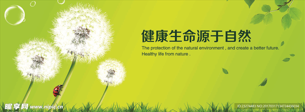健康养生自然背景
