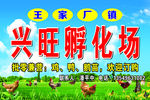 孵化场