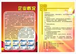 公司招聘简章