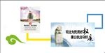 廉政文化墙