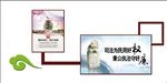 廉政文化墙