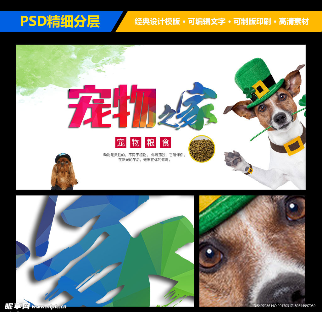 宠物之家宣传海报设计