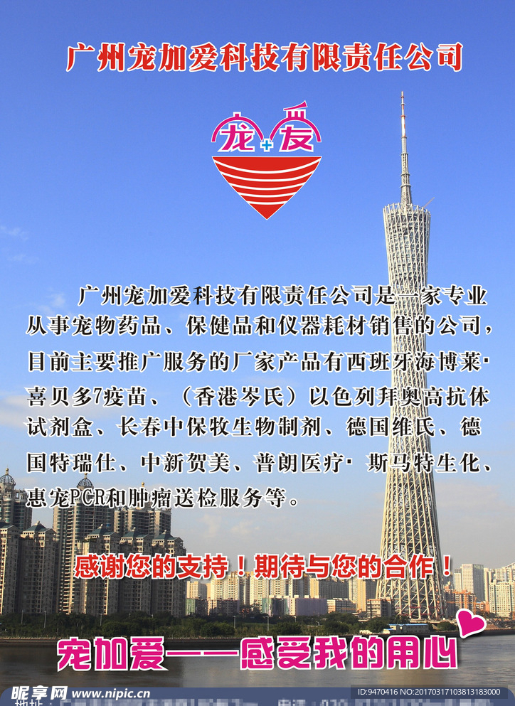 宠爱企业简介海报