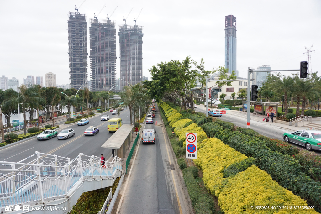 厦门 道路 建筑