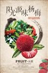 杨梅海报