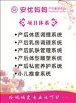 安优妈妈项目体系展板