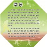 网球展板 体育展板