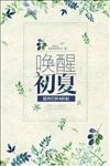 超市打折夏季促销海报