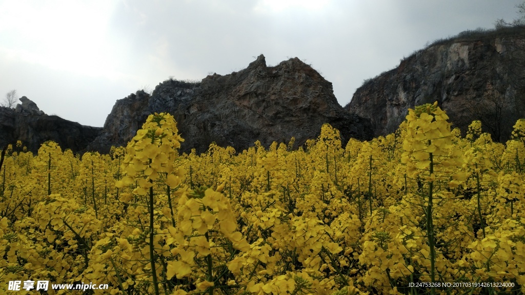 平顶山