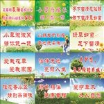 花草牌