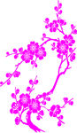 梅花