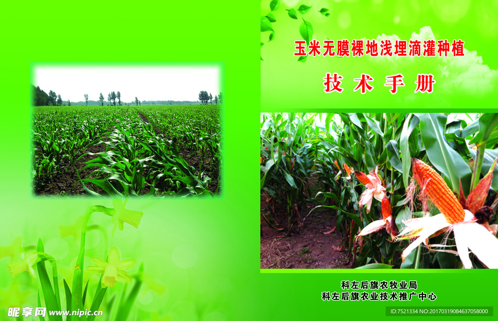 玉米 技术手册 种植