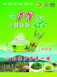 芦笋茶彩页