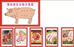猪肉分割图