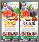 无花果