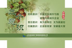 企业文化-三个意识