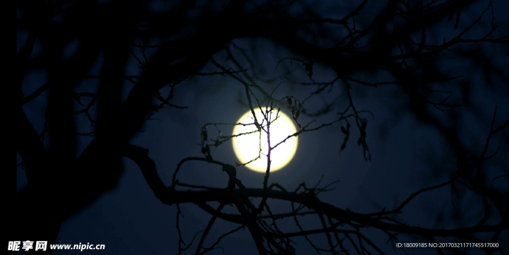 夜晚的月亮
