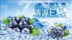 夏日素材冰镇蓝莓