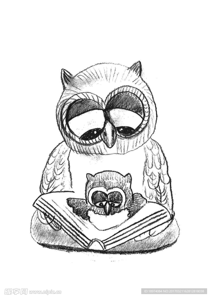 手绘猫头鹰