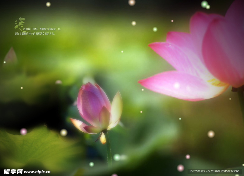 莲花婚纱照相册设计模板