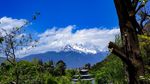 黑龙潭远观玉龙雪山
