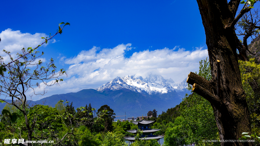 黑龙潭远观玉龙雪山