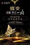 蝶变 蜕变 尊享
