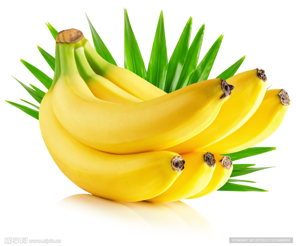 逼真的香蕉水果素材