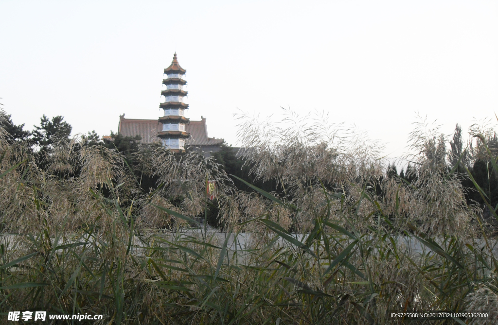 重阳宫 塔 摄影