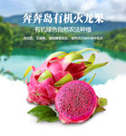 火龙果