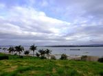 奥克兰海滨自然风景