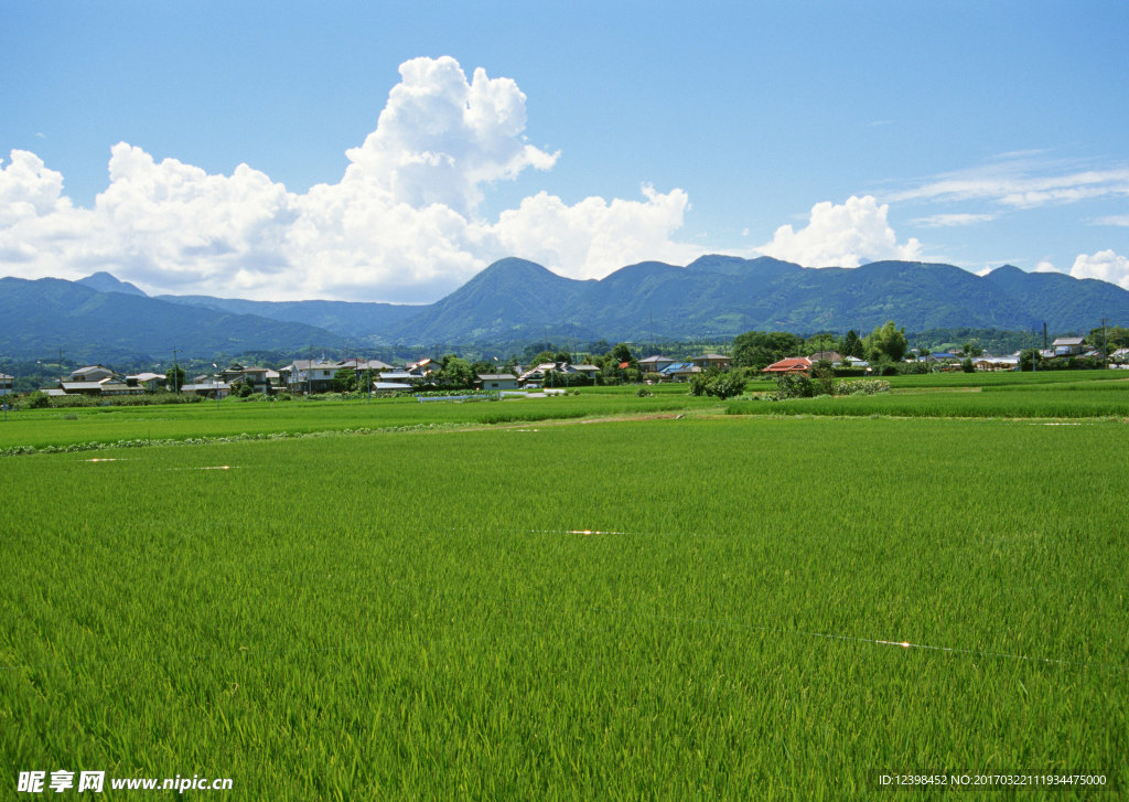 一望无际的田野