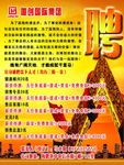 企业招聘