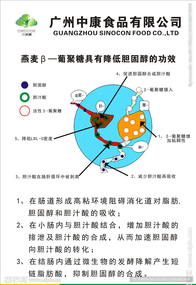 燕麦葡聚糖海报