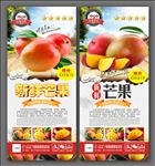 芒果