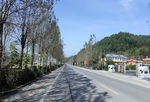 道路风景摄影图片
