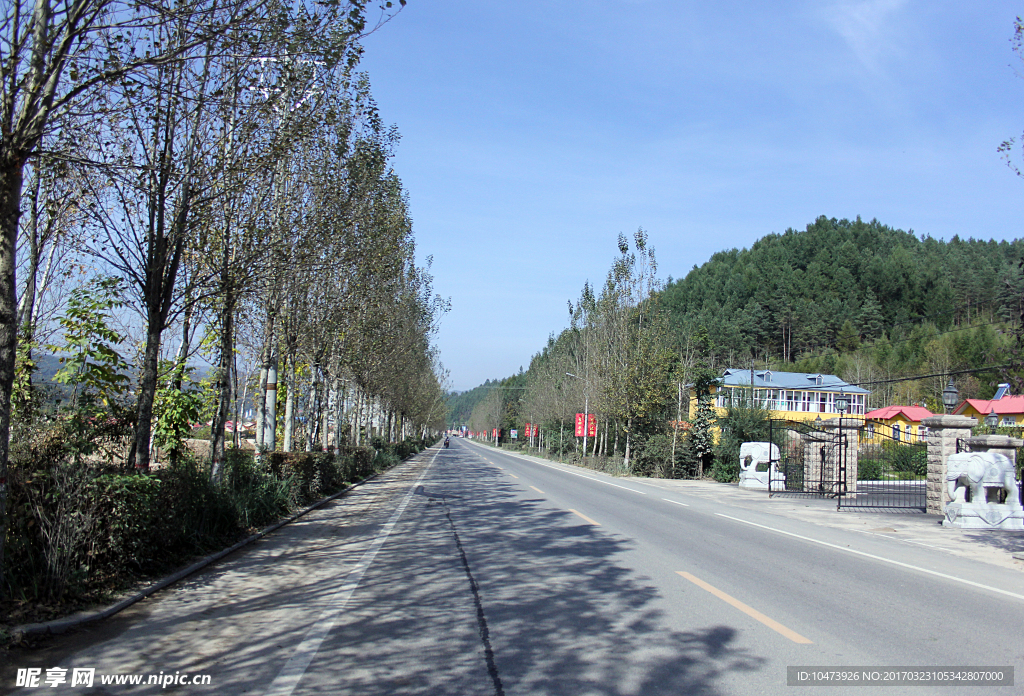 道路风景摄影图片