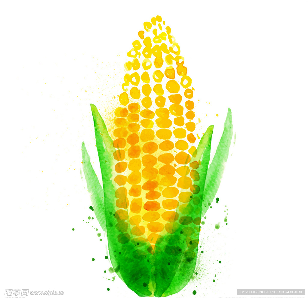 卡通水彩蔬菜玉米