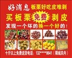板栗素材