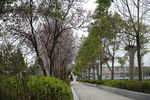 绿色校园