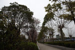 路边风景